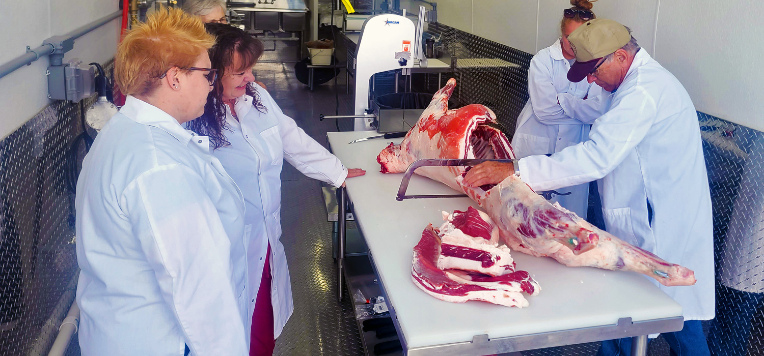 Students processing an animal