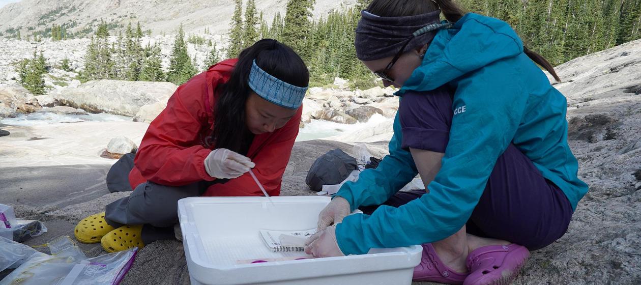 Two students running a test on high mountain water. 