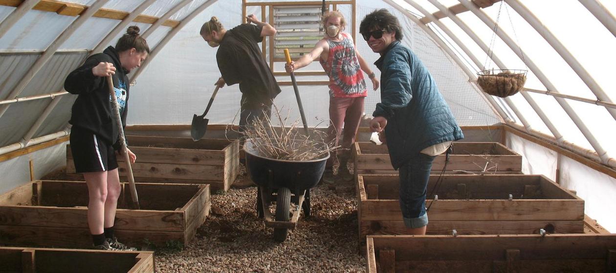 Students working in the hoop house