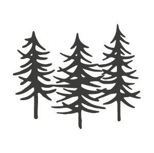 Three pine trees in grey