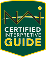 A green back ground with Certified Interpretive in white letters and Guide in bold yellow letters